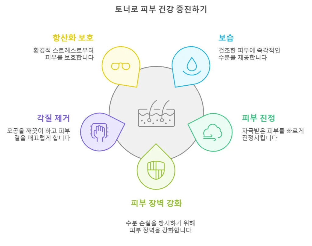 토너 효과 5가지